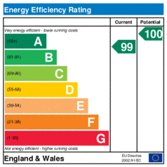 Energy Efficiency Rating: Current is 99, Potential is 100