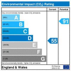 Environmental Impact Rating: Current is 55, Potential is 91