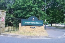 London Wetland Centre