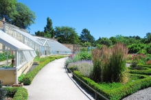 Fulham Palace Walled Garden