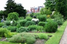 Chelsea Physic Garden