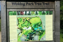 Woking Park