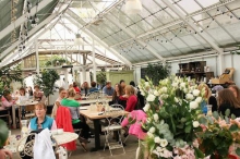 Clifton Nurseries