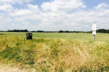 Wanstead Flats