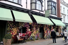 The Ivy Chelsea Garden