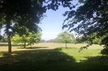 Ealing Common