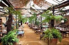 Petersham Nurseries