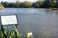 Goldsworth Park Lake