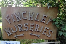 Finchley Nurseries