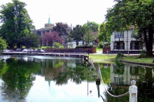 Carshalton Ponds