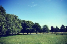 Clapham Common