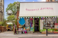 Crocodile Antiques