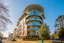 Constitution Hill, Woking Constitution Hill, Woking
