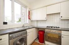 Jacaranda Grove, Dalston Jacaranda Grove, Dalston
